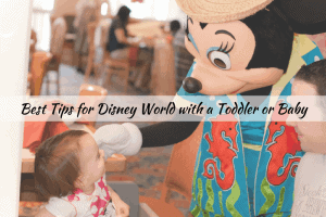 best hacks for traveling to Disney world with a baby or toddler