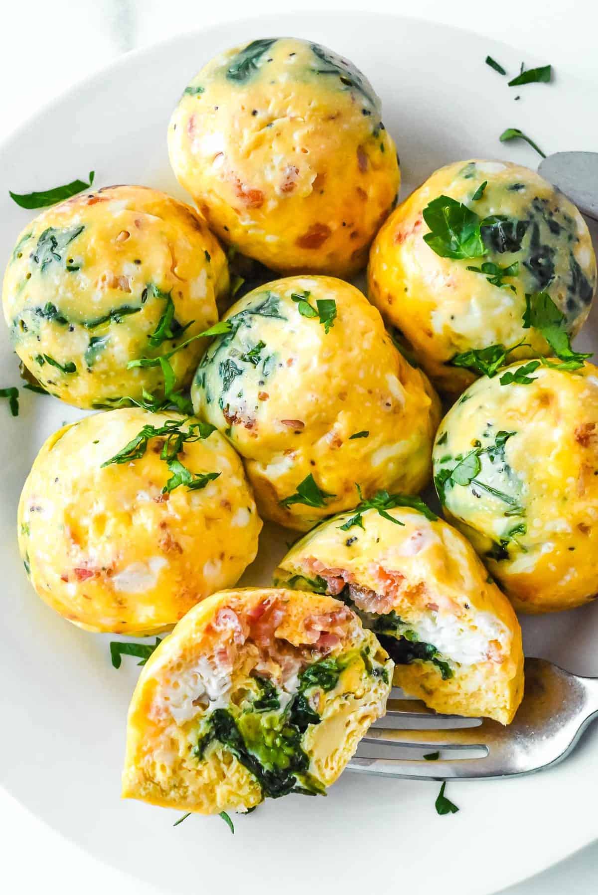 Instant Pot egg bite mold recipes (you can make so much more than