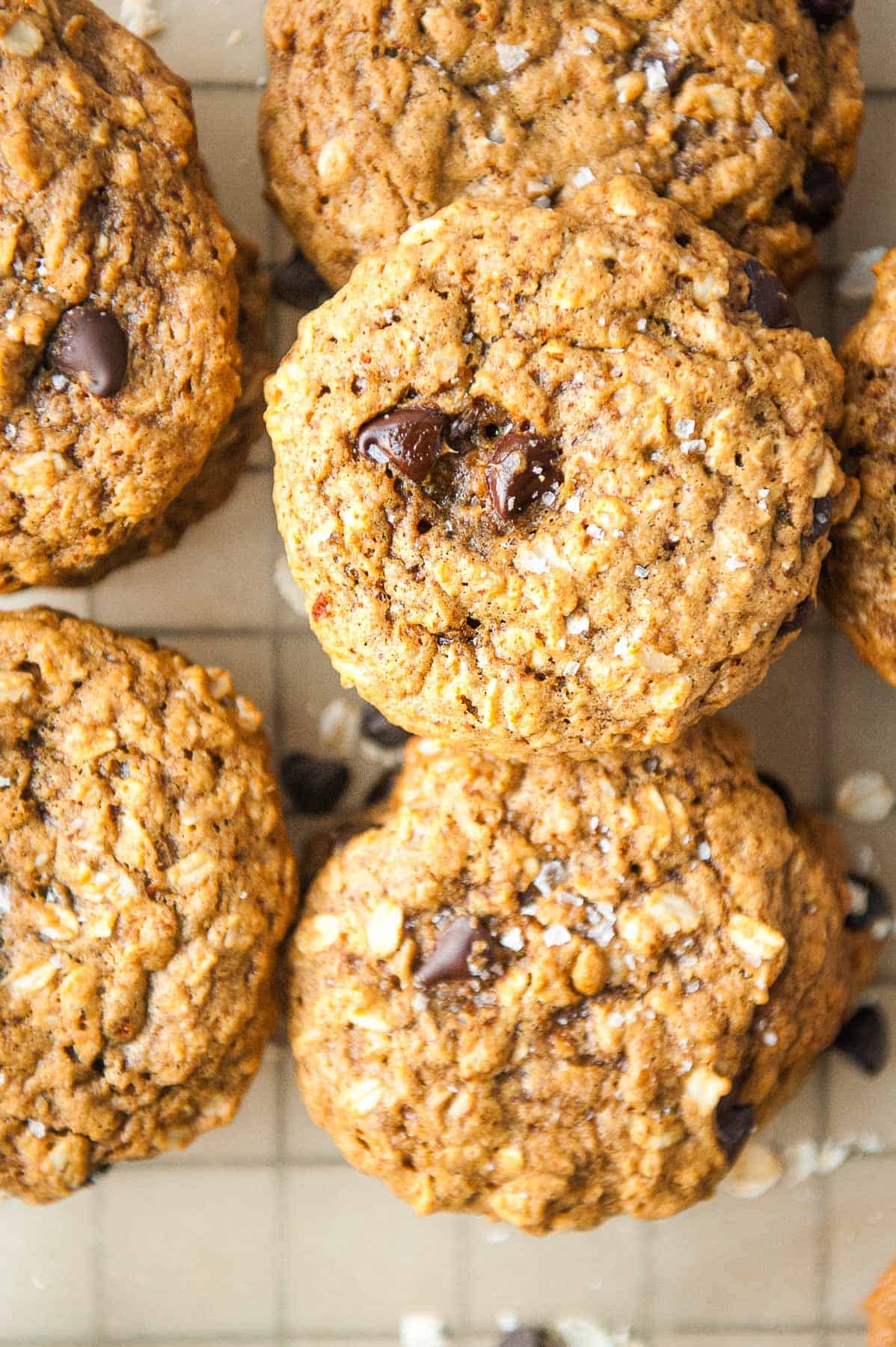 chewy almond butter oatmeal cookies with chocolate chips