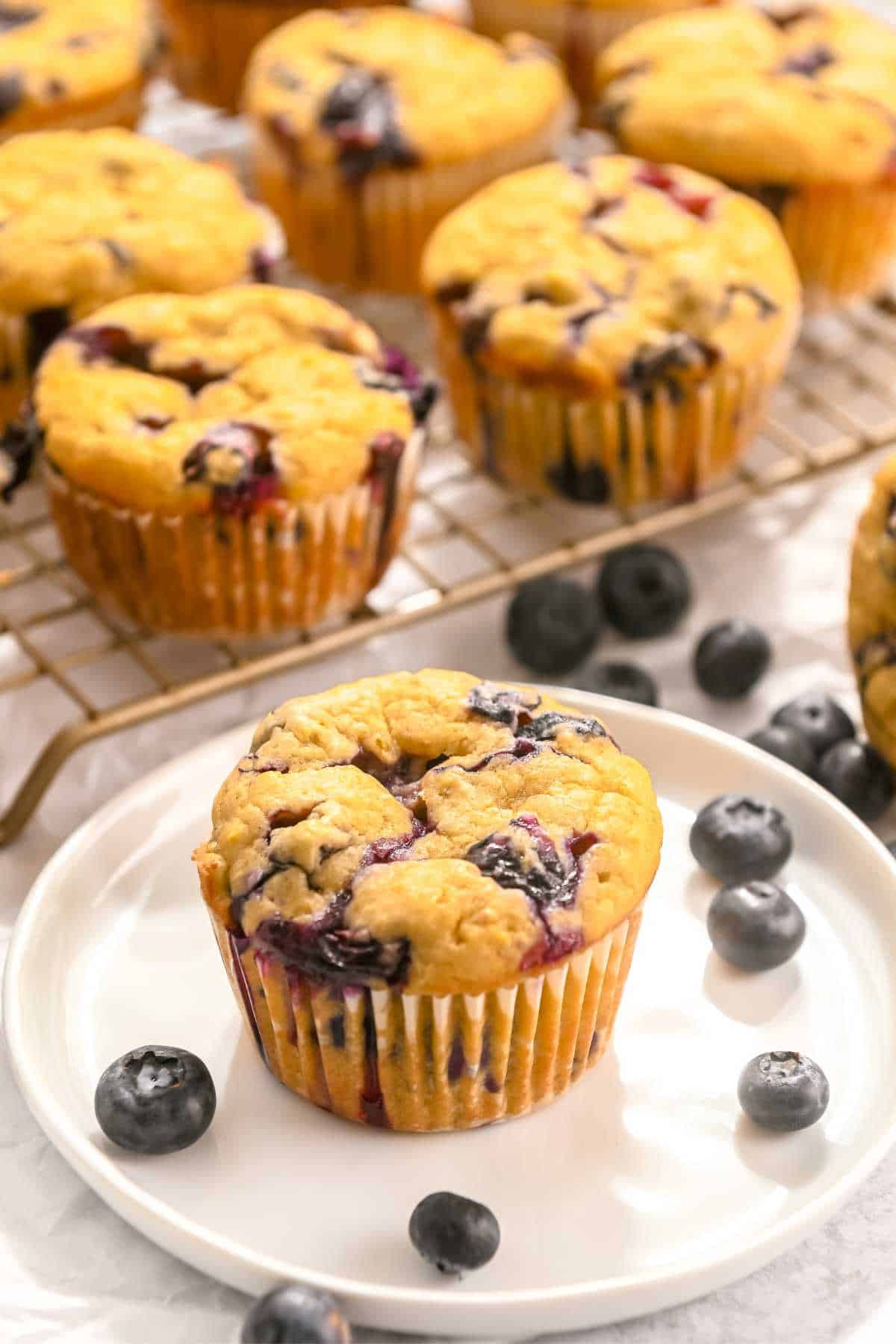 protein blueberry muffin on a white plate with blueberries and cooling muffins in the back.