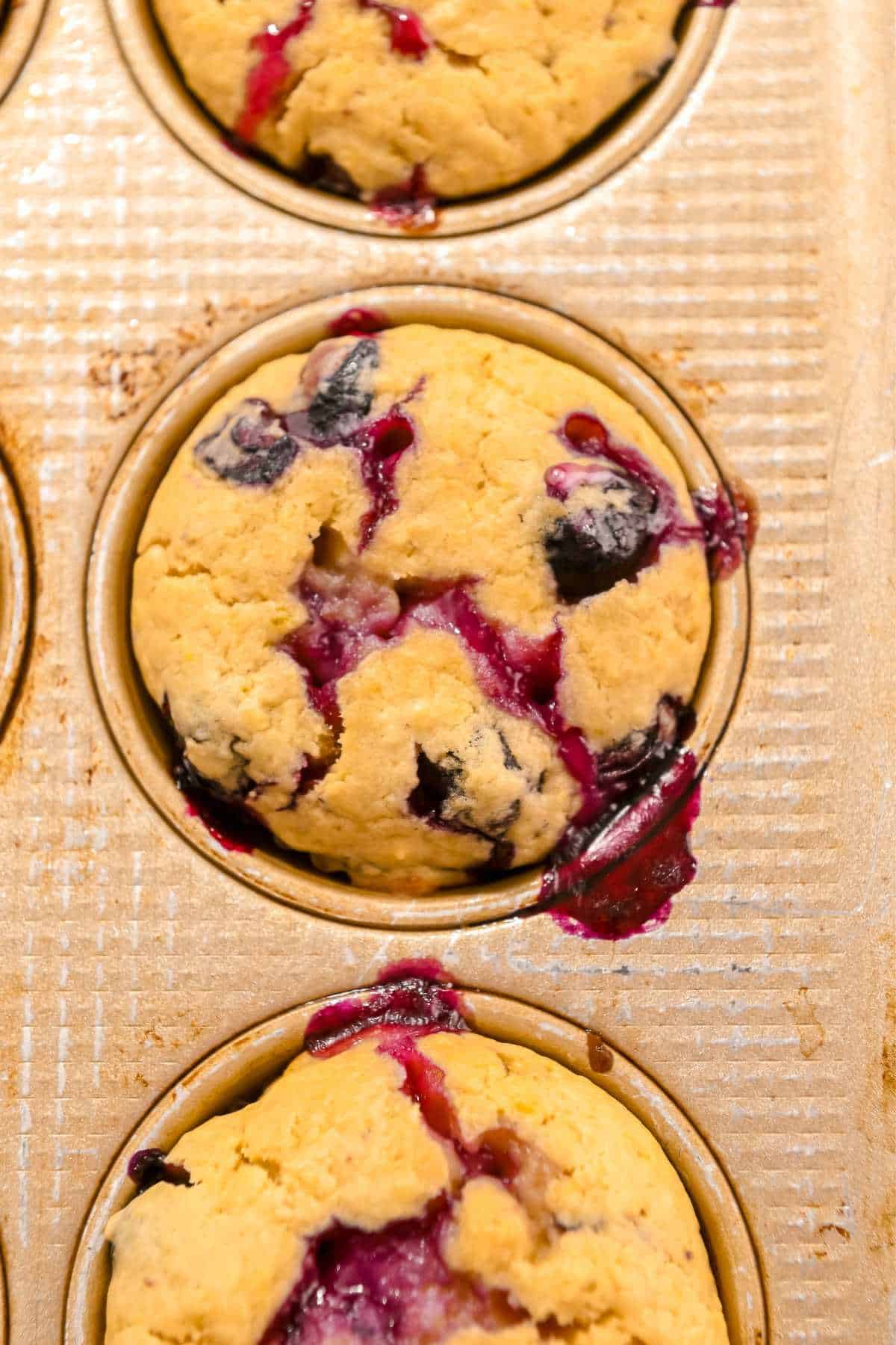 blueberry protein muffins in a muffin tin.
