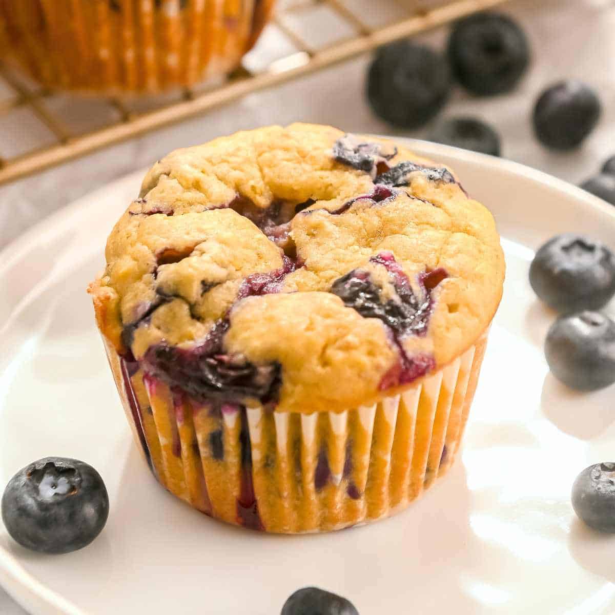 close up photo of protein blueberry muffin on a white plate with blueberries around it.