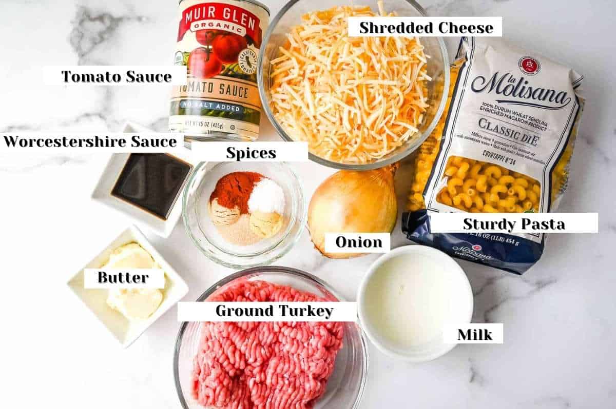 labeled ingredients photo showing cheese, pasta, milk, onion, spices, turkey, butter, worcestershire sauce and tomato sauce.