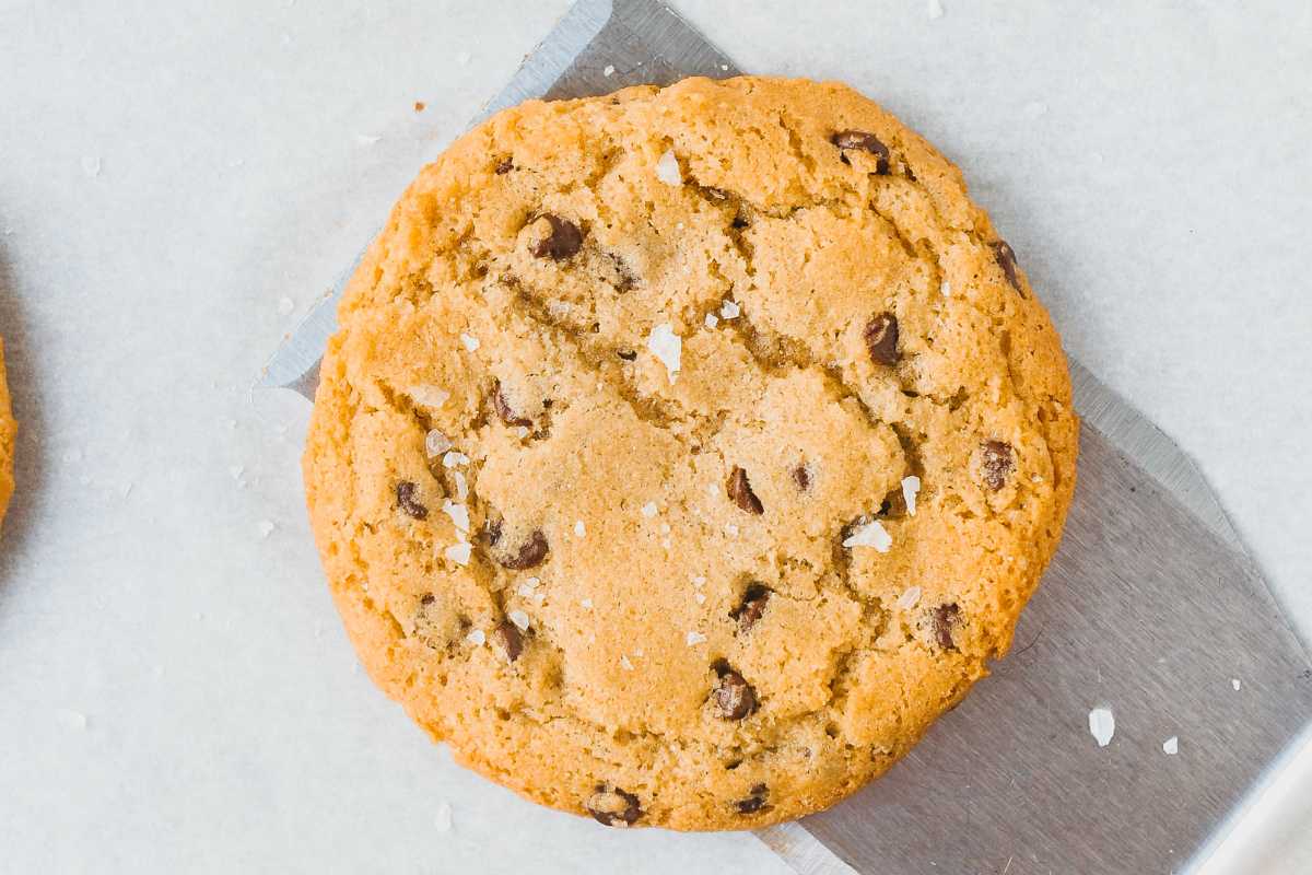 baked oat flour chocolate chip cookie on a silver spatula.
