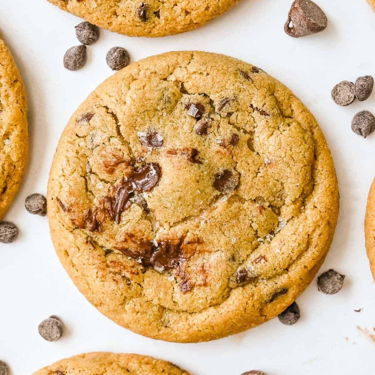 Small Batch Oat Flour Chocolate Chip Cookies - The Fit Peach