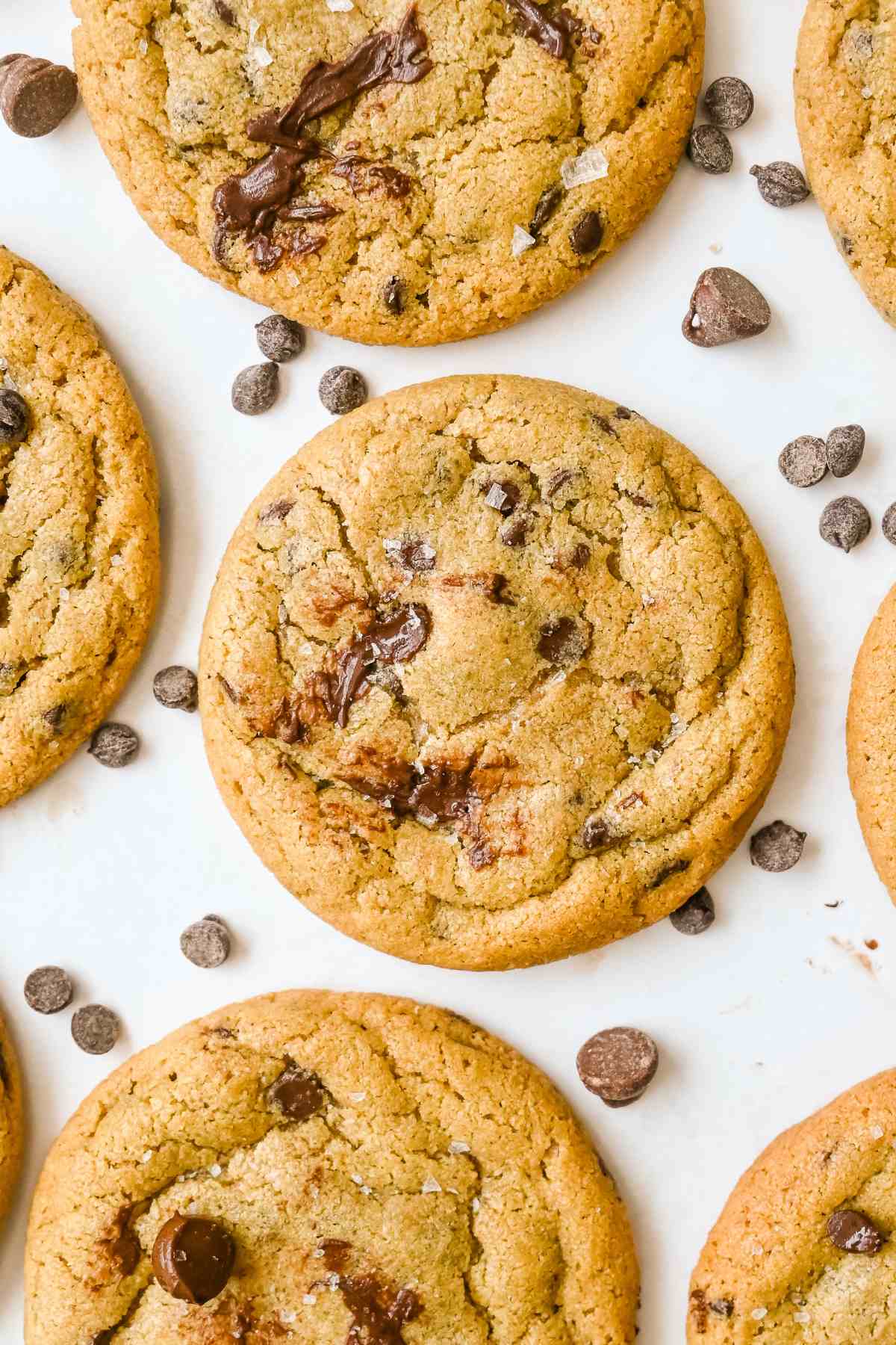 close up shot of oat flour chocolate chip cookies on a white background with chocolate chips around.