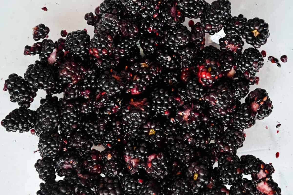 bowl of blackberries.