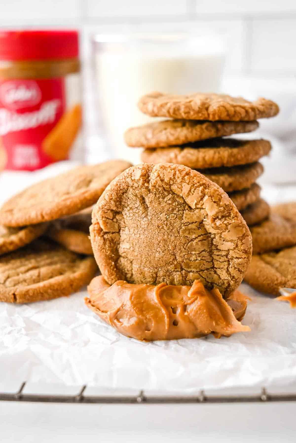 close up shot of cookie butter cookies in a dollop of cookie butter on a white background.
