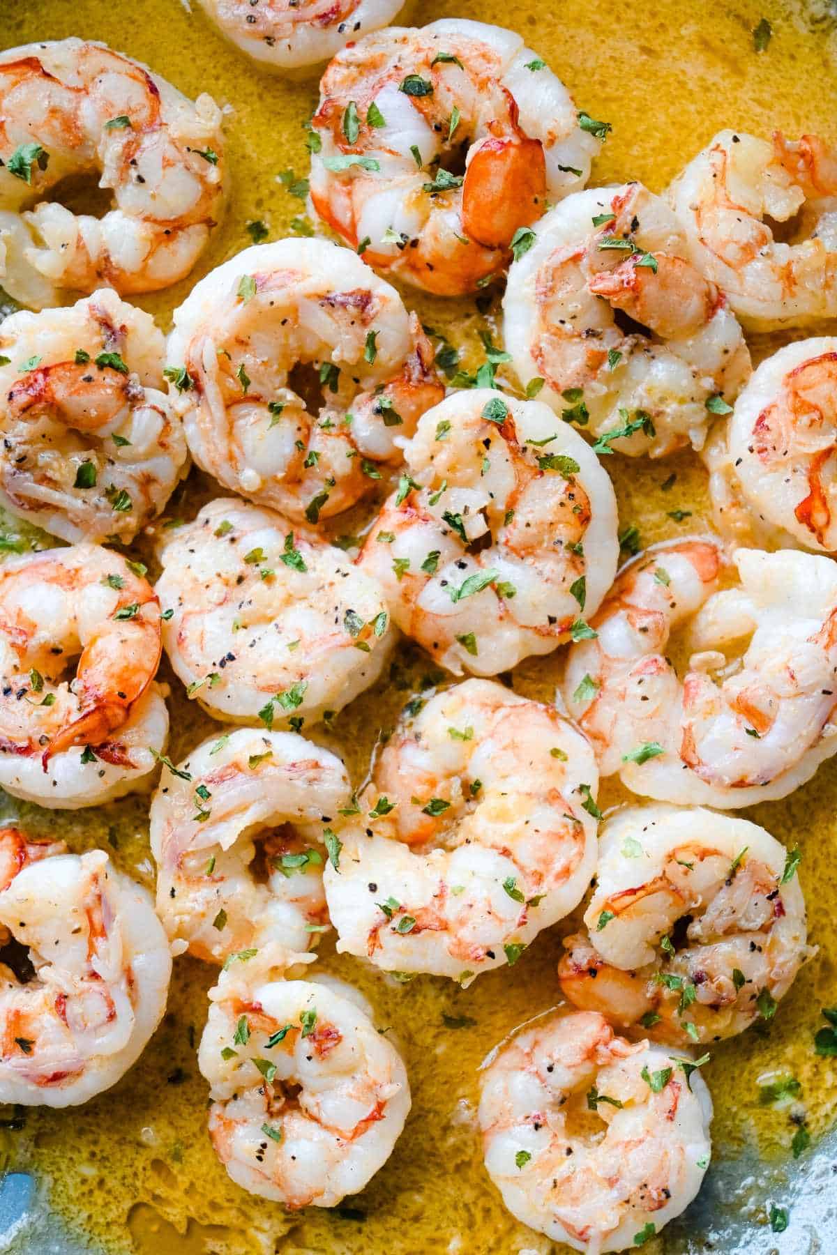 close up shot of pan seared shrimp with garlic butter sauce.
