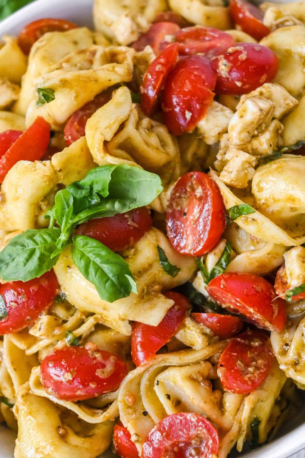 close up of tortellini pesto salad with tomatoes and basil.