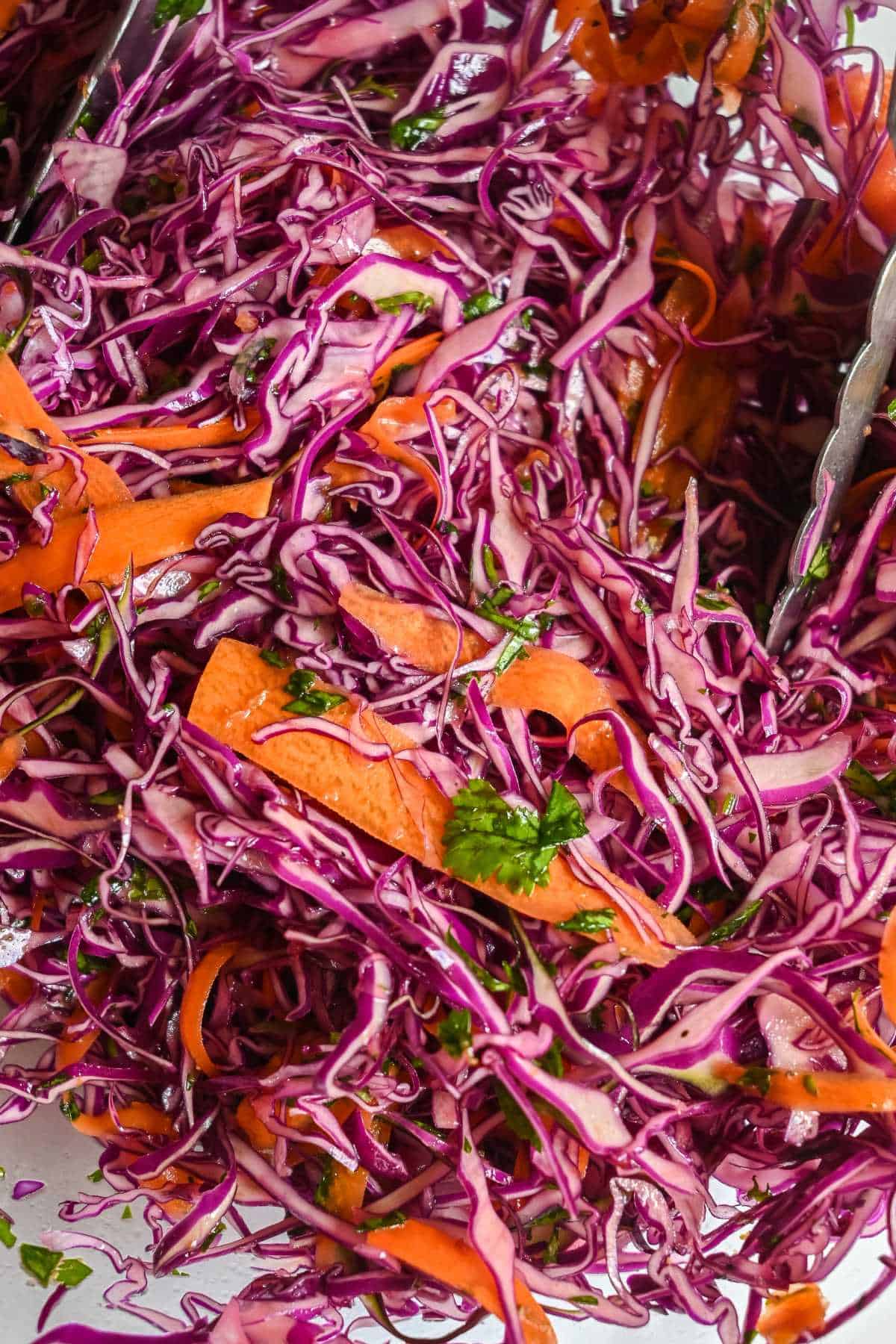 close up of red cabbage slaw with carrots and cilantro, with salad tongs.