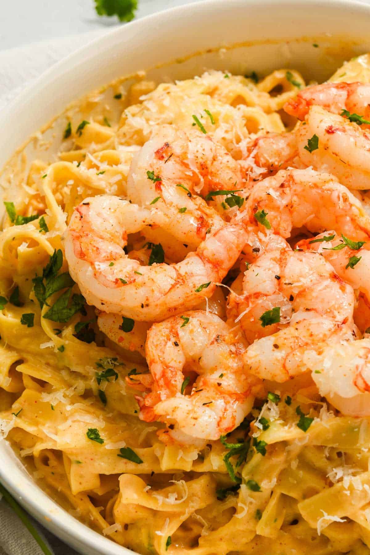 cajun pasta with alfredo sauce topped with shrimp.